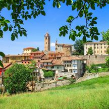 The village of Monforte d'Alba