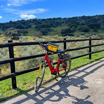 Rad lehnt an einem Zaun mit Blick auf die andalusische Landschaft