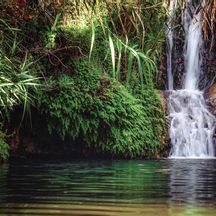 The ‘Baths of Adonis’ - waterfalls