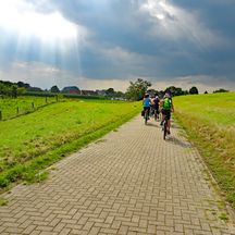 Radfahrer in den Rheinauen