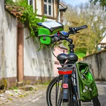 Rental bike in Wissembourg