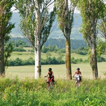 Zwei Radfahrerinnen auf einem Radweg zwischen Wiesen und Bäumen