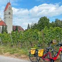 Bicycles in front of vineyards in Hagnau