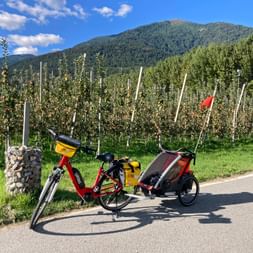 Rental bike with child trailer at the apple orchards