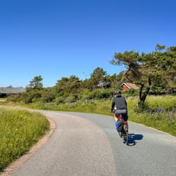 Cyclist with panniers riding on paved country road through green meadows with wildflowers, red farmhouse and trees under clear blue sky in Zealand.