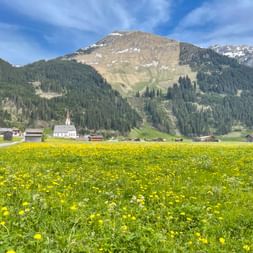 Yellow flowering meadow in foreground with white church and village buildings, backed by forested mountains and rocky peaks under blue sky.