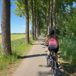 Cyclist riding on paved path lined with tall trees in North Holland. Open fields visible on left, green vegetation on right under blue sky.