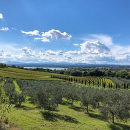 View of Lake Trasimeno