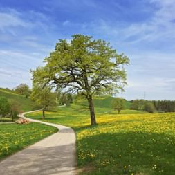 Bayerische Idylle am Radweg