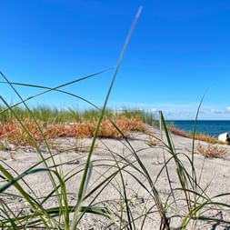 Strand bei Graal-Müritz