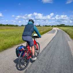 Cyclist with red bike and panniers riding on paved road through flat green fields under blue sky with white clouds in the Baltic region.