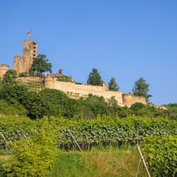 Ruine der Wachtenburg mit deutscher Flagge auf einem Hügel über terrassierten Weinbergen an der Deutschen Weinstraße unter blauem Himmel.
