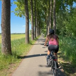 Radfahrerin mit Helm auf asphaltiertem Weg gesäumt von hohen Bäumen. Grüne Felder links, Gras und Vegetation rechts unter blauem Himmel.