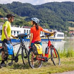Blick auf Schiff an der Donau