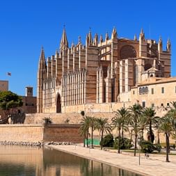 Kathedrale von Palma auf Mallorca mit gotischer Architektur, Palmen und Wasserbecken im Vordergrund unter klarem blauen Himmel.