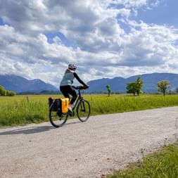 Cyclist with panniers riding on country road through green fields in Murnauer Moos. Mountains and dramatic clouds visible in background.