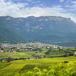 Mountain panorama in Caldaro