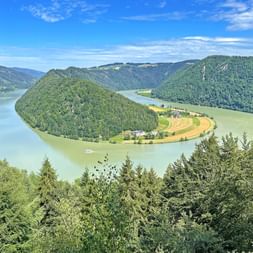 Donauradweg Schloegener Blick