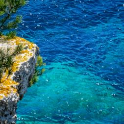 Rocky Croatian coastline with yellow lichen-covered rocks and pine branches. Crystal-clear turquoise Adriatic Sea with sunlight reflections.