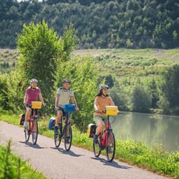 Cyclists on the Rhine cycle path