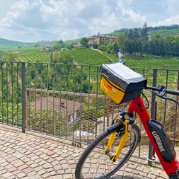 Bike with a view of the vineyards