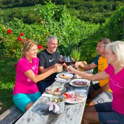 Four cyclists in colorful shirts toasting with red wine at a wooden table in a Wachau vineyard. Food platters and red roses visible among grapevines.