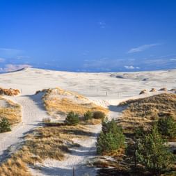 White sand dunes with wooden walkway winding through grass-covered hills in Leba, Poland. Blue sky above vast sandy landscape.