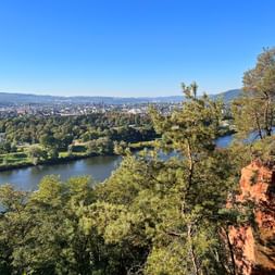 View of Trier from the rock path