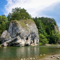Large white limestone rock formation with caves rising from the Dunajec River, topped with green trees under a blue sky with clouds.