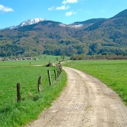 Cycle path towards Inzell