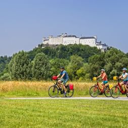 Drei Radfahrer mit gelben Taschen auf einem Weg durch grüne Wiesen mit der Festung Hohensalzburg auf einem bewaldeten Hügel unter blauem Himmel.