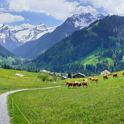 Gstaad
