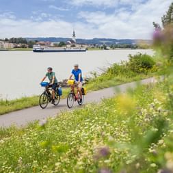 Zwei Radfahrer auf dem Donauradweg bei Engelhartszell. Wildblumen säumen den Weg, ein Flusskreuzfahrtschiff und die Stadt sind am anderen Ufer sichtbar.