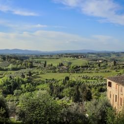 Rolling Tuscan hills with vineyards, olive groves, and cypress trees. A traditional ochre-colored farmhouse stands in the foreground.