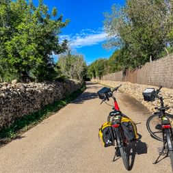 Zwei Leihräder auf Radweg nach Alcudia
