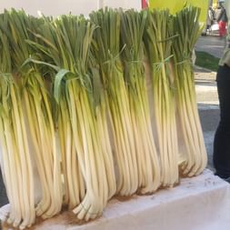 Leek stand in San Remo