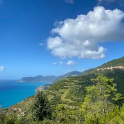 Gründe Landschaft mit Küste im Hintergrund