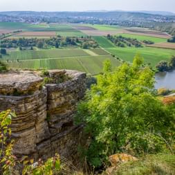 Hessigheim Felsen