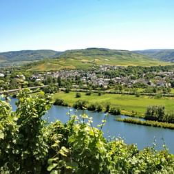 View to Mühlheim at Moselle
