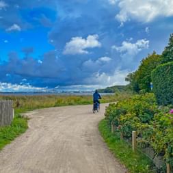 Cyclist riding on gravel path along Baltic Sea coast with wooden fence, lush vegetation, and dramatic cloudy sky over water.