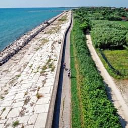 Luftaufnahme von Radfahrern auf einem Küstenweg zwischen der Adria und grünen Weinbergen nahe Venedig, mit Steinwellenbrecher links.