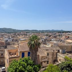 Rooftop view of Artà town in Mallorca with terracotta roofs, a tall palm tree, and green hills under blue sky.