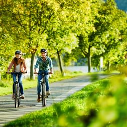 Cyclists