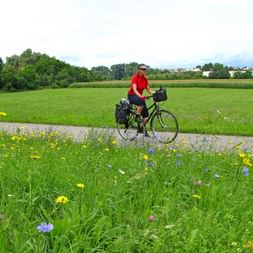 Cyclist on the Neckar cycle path