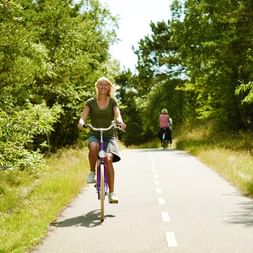 Cyclists on the cycle path