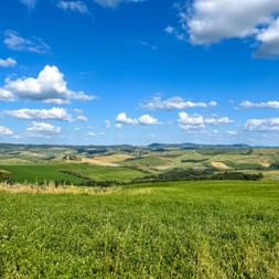 Rolling green hills and fields under blue sky with white clouds in Tuscany between Pisa and Florence. Distant hills visible on horizon.