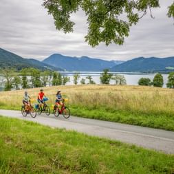 Three cyclists riding on a paved path along Lake Tegernsee in Bavaria. Mountains and cloudy sky in background, meadow and trees frame the scene.