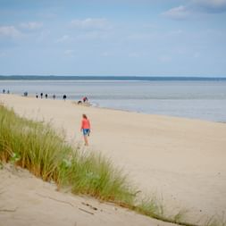 Wide sandy beach on Usedom with grass-covered dunes in foreground. People walking along the shore under blue sky with calm Baltic Sea waters.