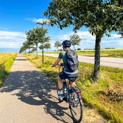 Radfahrer mit Rucksack auf baumgesäumtem Radweg neben gelben Feldern und Straße unter blauem Himmel auf dem Sydkustleden bei Helsingborg.