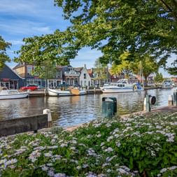Marina in Lemmer with moored boats along the canal. White daisies bloom in foreground, traditional Dutch houses line the waterfront under blue sky.